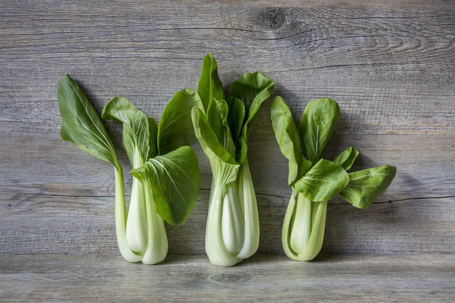 Fresh bok choy arranged on a surface.