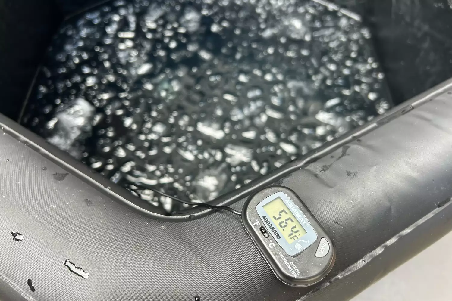 A digital thermometer floating in an ice bath showing a temperature of 56.4 degrees Fahrenheit.