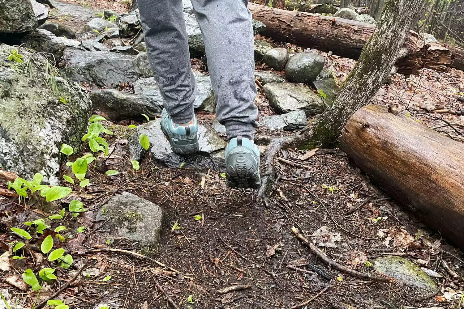 A hiker wearing Oboz boots navigates a muddy, rocky path in a lush forest.